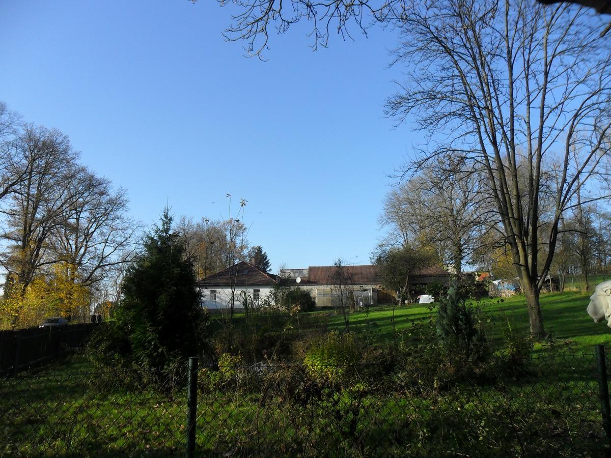 Ubytování U Lva Žirovnice Esterno foto